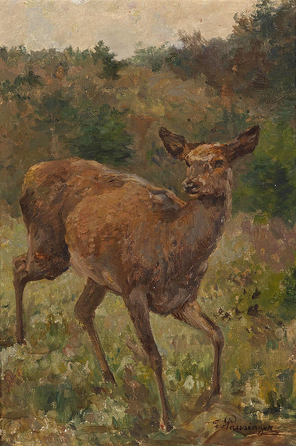 Deer  Painting by Franz Xaver von Pausinger