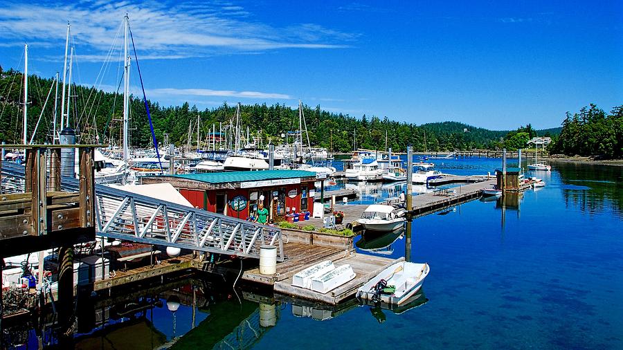 Deer Harbor Marina Photograph by David Coleman - Fine Art America