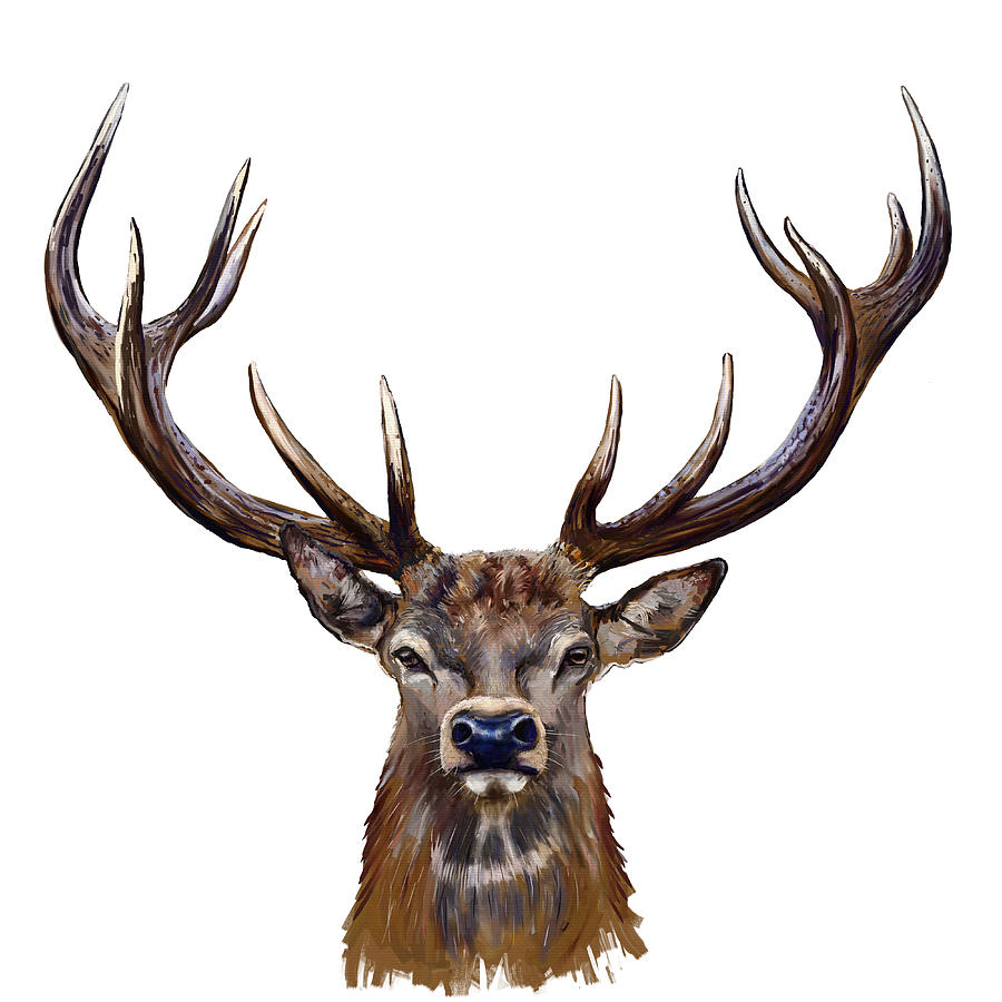 Deer Head Painting by Marcin Moderski