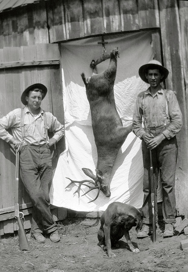 DEER HUNT SUCCESS c. 1890 Photograph by Daniel Hagerman