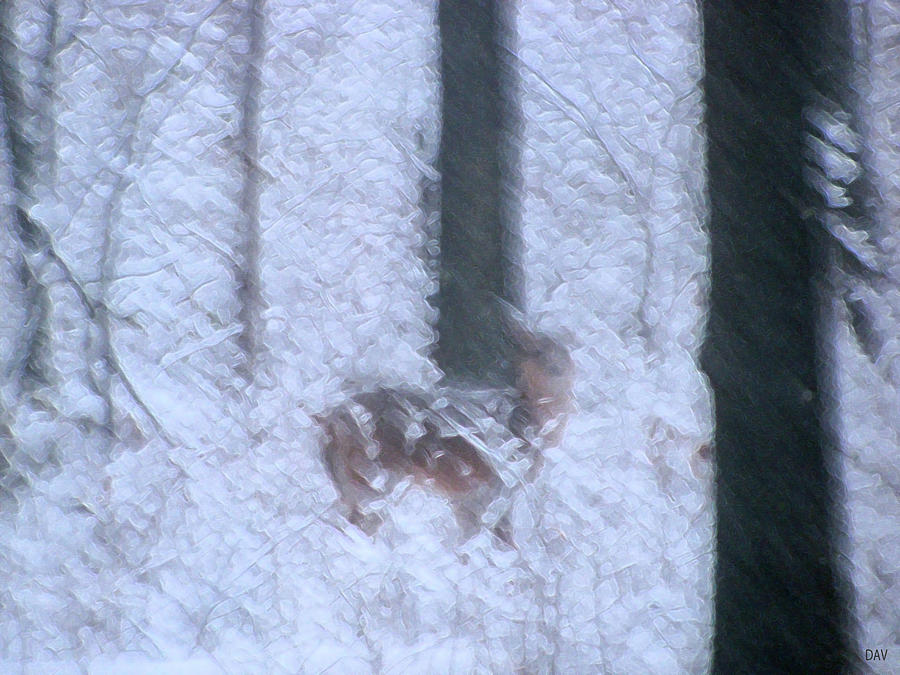 Deer In A Blizzard Photograph by Debra     Vatalaro