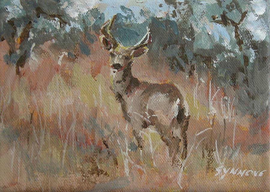 Deer in a Field Painting by Synnove Pettersen