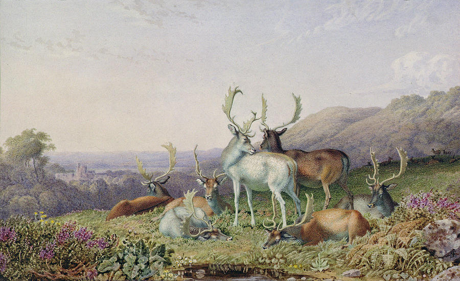 Deer Painting - Deer in a Landscape by George the Younger Barret