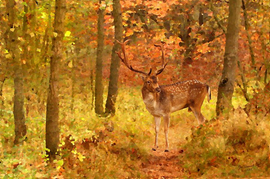 Deer In Autumn Forest Painting by Jan Everink
