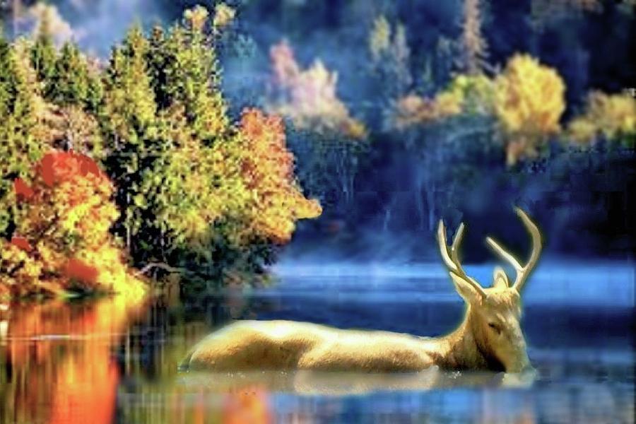 Deer in Autumn Digital Art by Janette Boyd