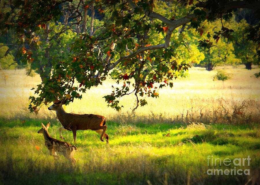 Deer in Autumn Meadow - Digital Painting Photograph by Carol Groenen