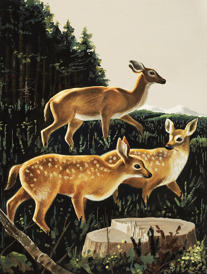 Deer in Forest Clearing Painting by English School