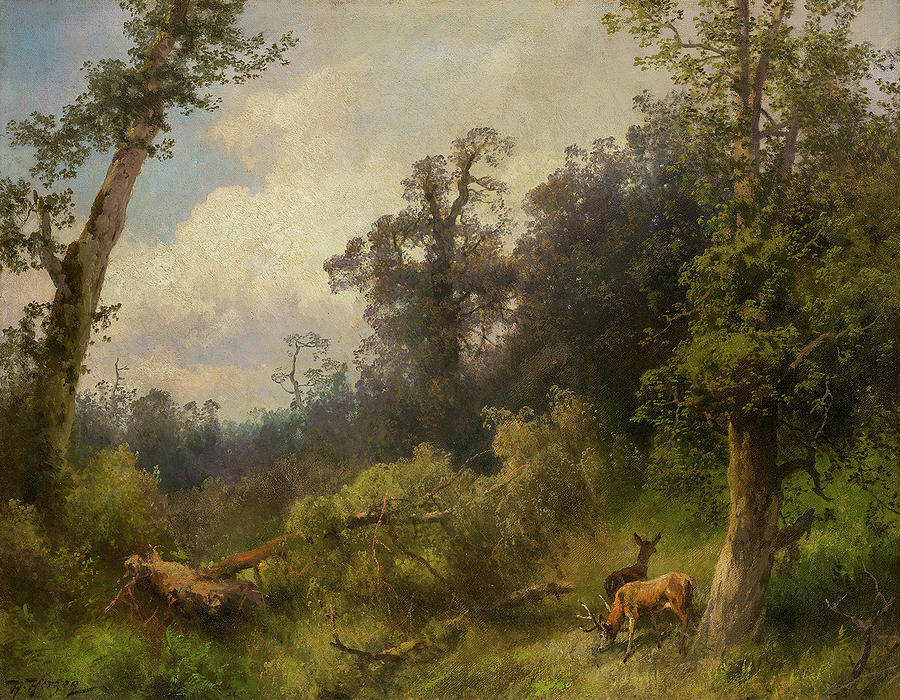 Deer in Forest Painting by Hermann Herzog