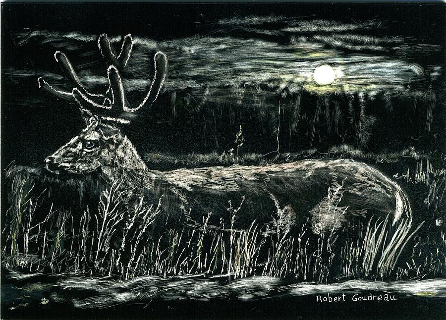 Deer in Moonlight Drawing by Robert Goudreau