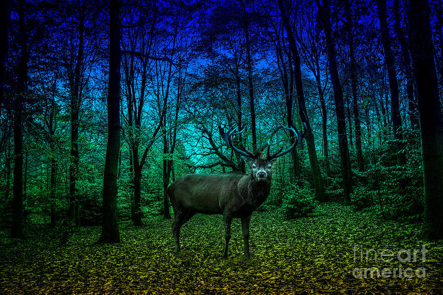 Deer in the woods Digital Art by Roger Lighterness