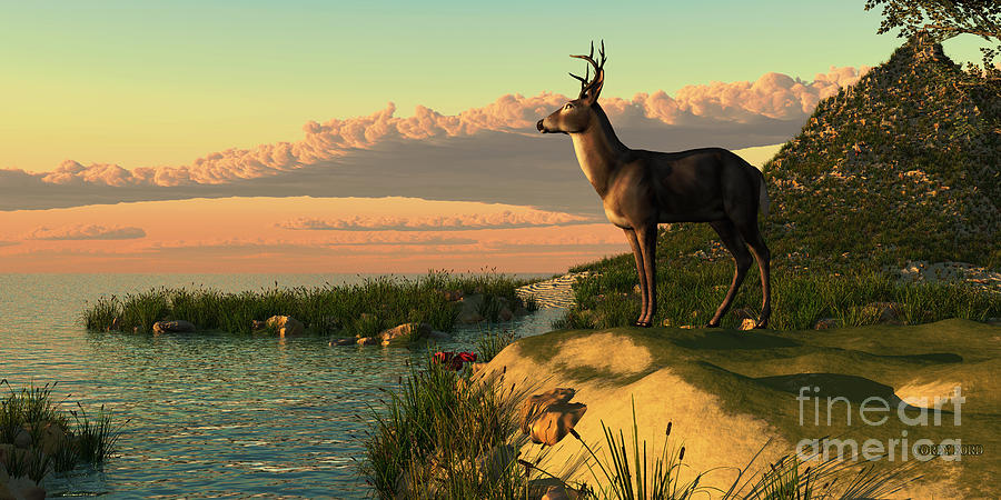 Deer Painting - Deer Lake by Corey Ford