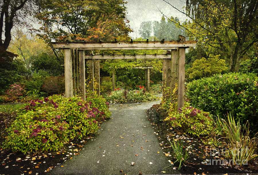 Fall in the Garden at Deer Lake Photograph by Maria Janicki
