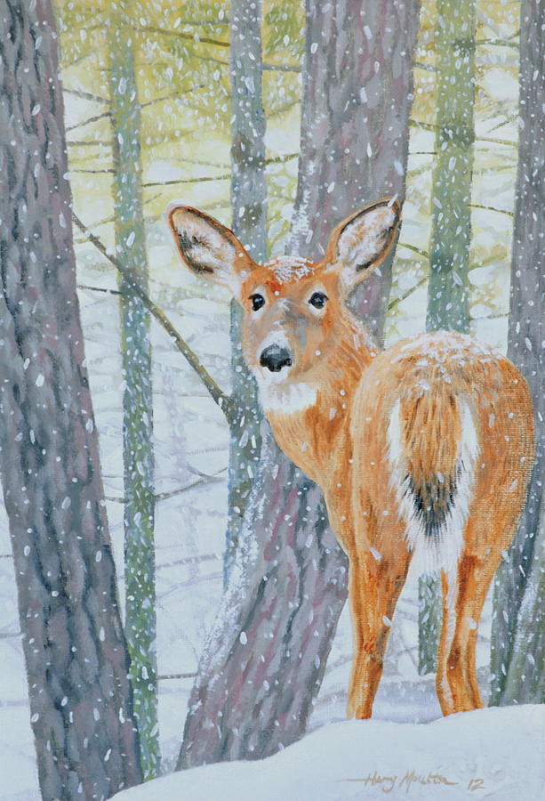 Deer Looking Back Painting by Harry Moulton