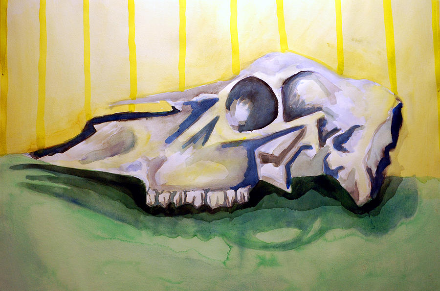 Deer Skull  one Painting by Jame Hayes