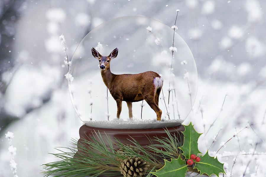 Deer Snow Globe Photograph by Steph Gabler