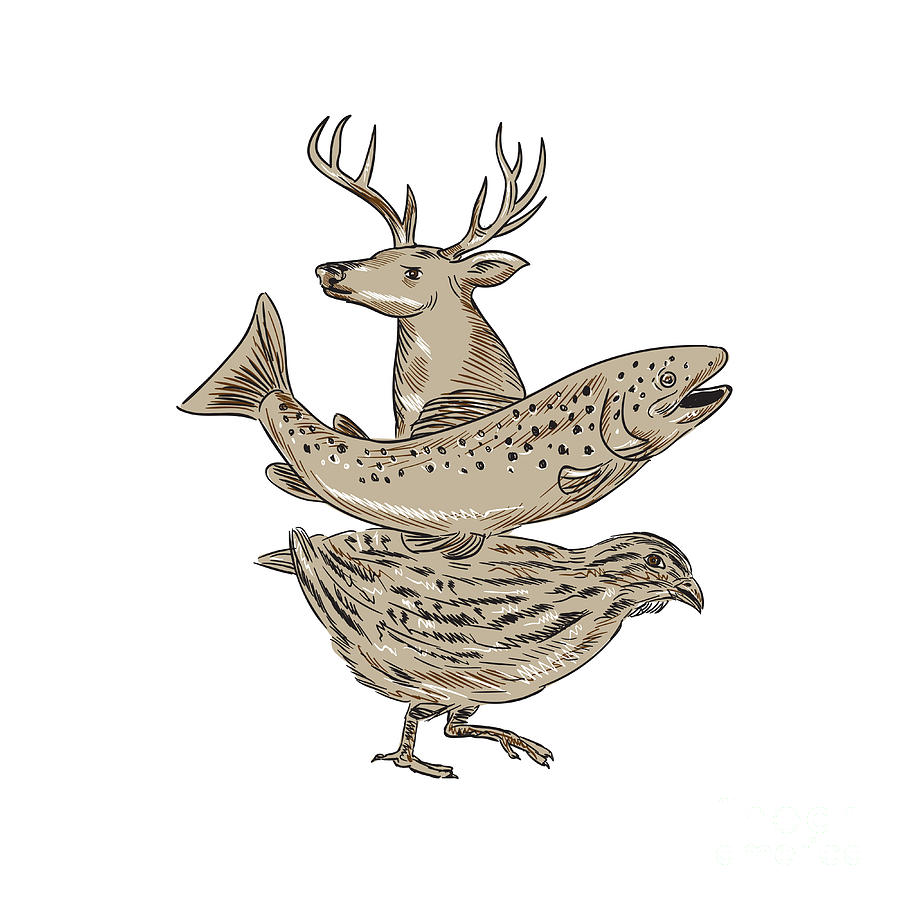 Deer Digital Art - Deer Trout Quail Drawing by Aloysius Patrimonio