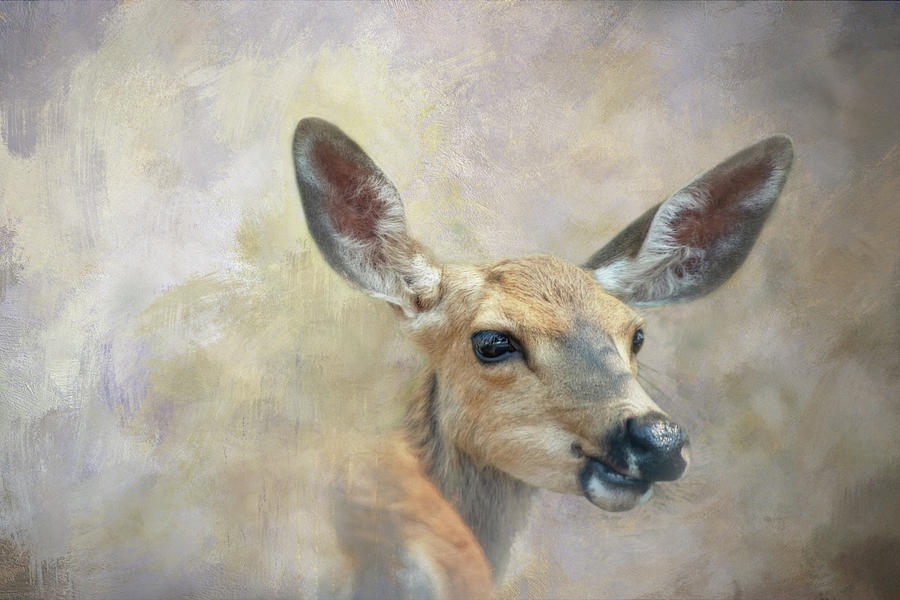 Deer Watch Digital Art by Terry Davis