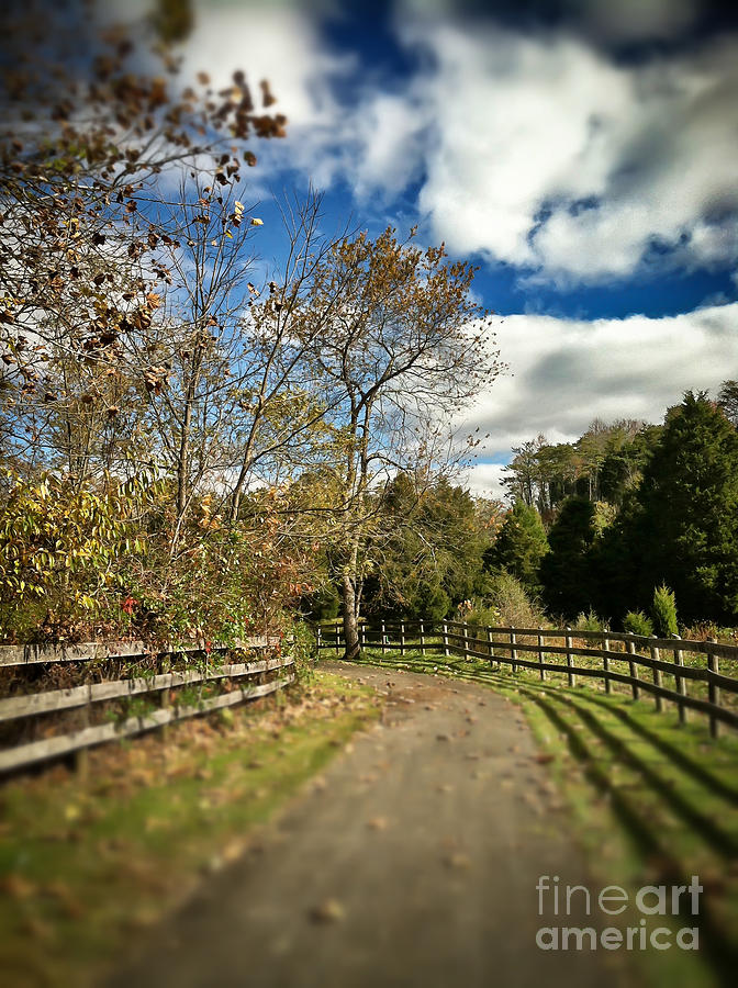 Deerfield Trail - Blacksburg Virginia Photograph by Kerri Farley