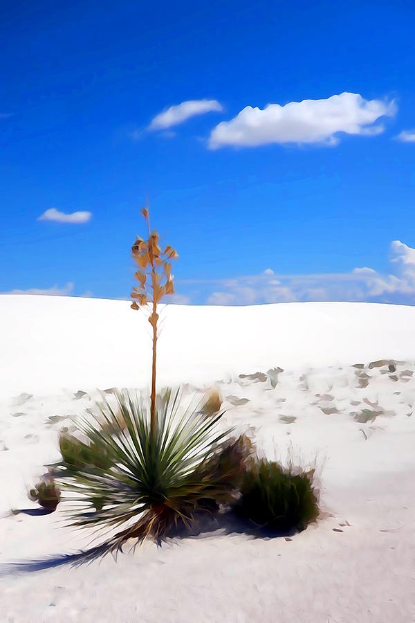 Defiant Yucca Photograph by Greg Hammond