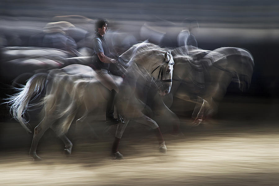 Horse Photograph - Defile by Milan Malovrh
