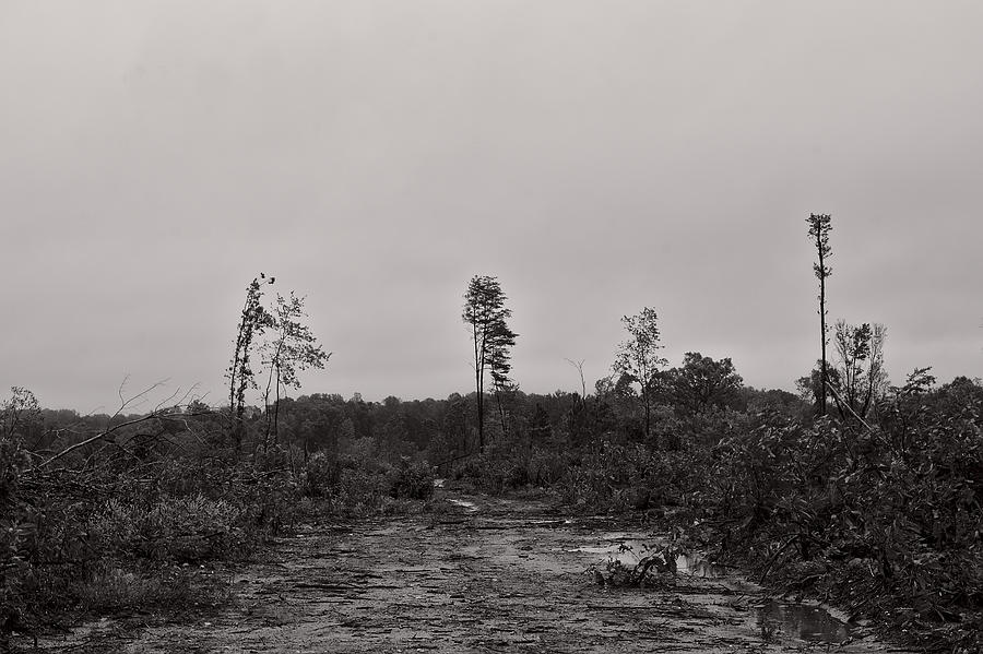 deforestation clipart black and white