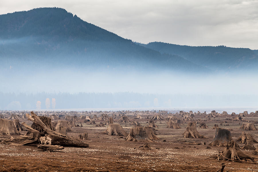 Deforestation of the Detroit Dam, Oregon. Photograph by Scott Slone