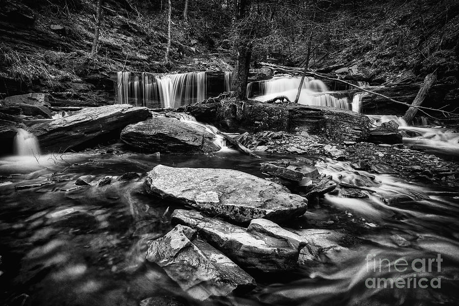 Delaware Falls And Surrounds, 2016.05.07 Photograph