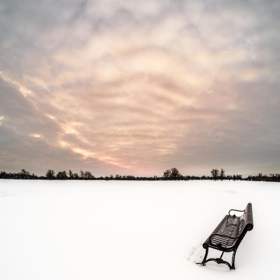 Buffalo Photograph - Delaware Park Winter Solace by Chris Bordeleau