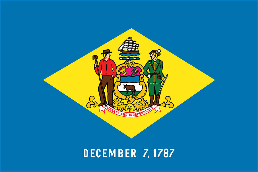 Delaware State Flag Photograph by Robert Banach