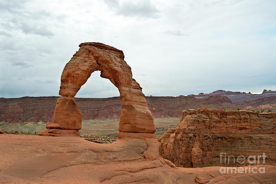 Delicate Arch 1 Photograph by David Arment