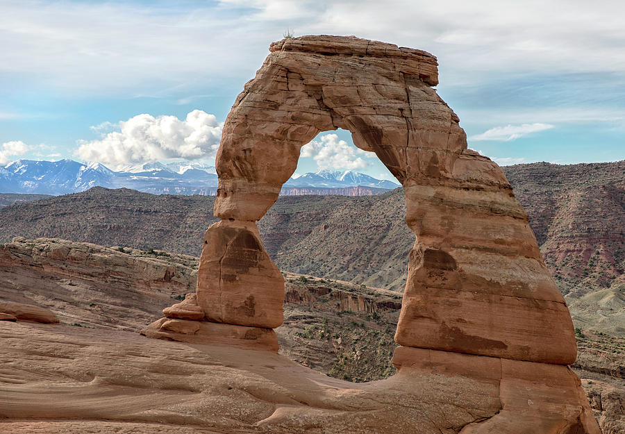 Delicate Arch Photograph by Art Cole