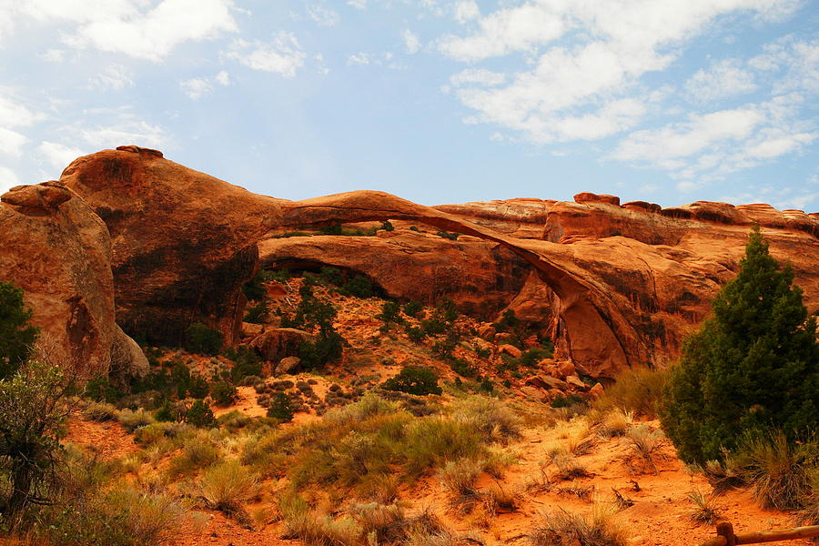 Arches National Park Photograph - Delicate Arch by Jeff Swan