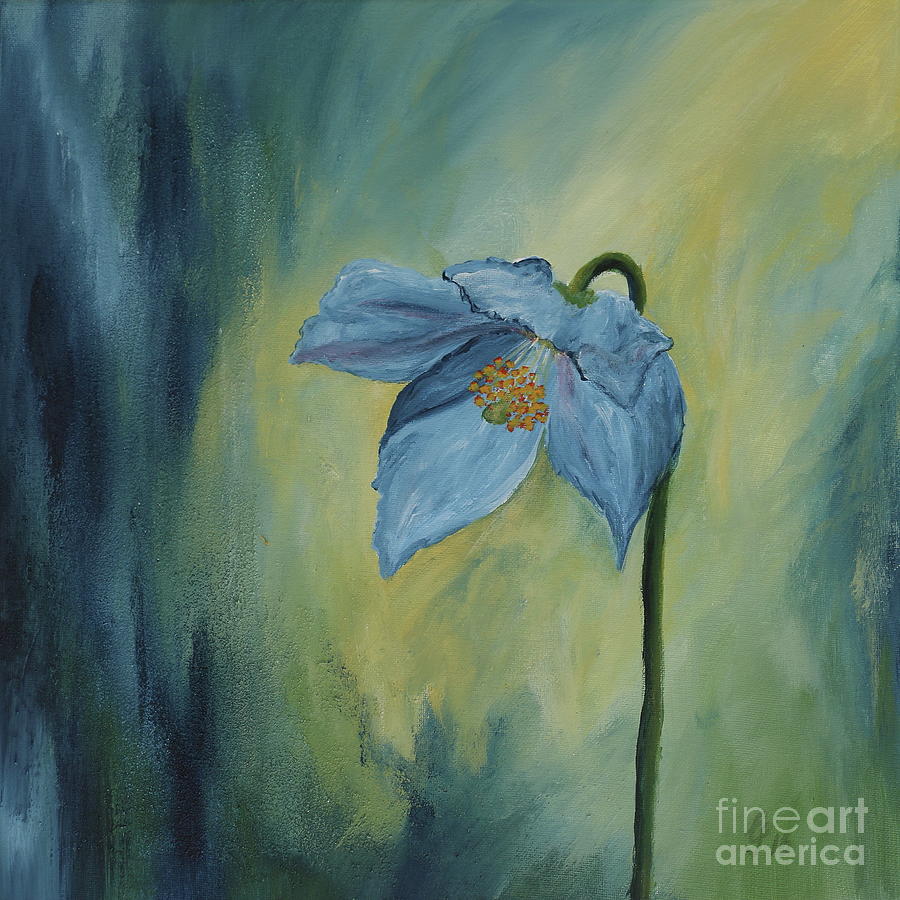 Delicate Blue Poppy - SOLD Photograph by Christiane Schulze Art And Photography