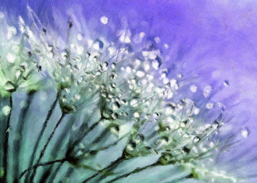 Nature Mixed Media - Delicate Dandelions by Georgiana Romanovna