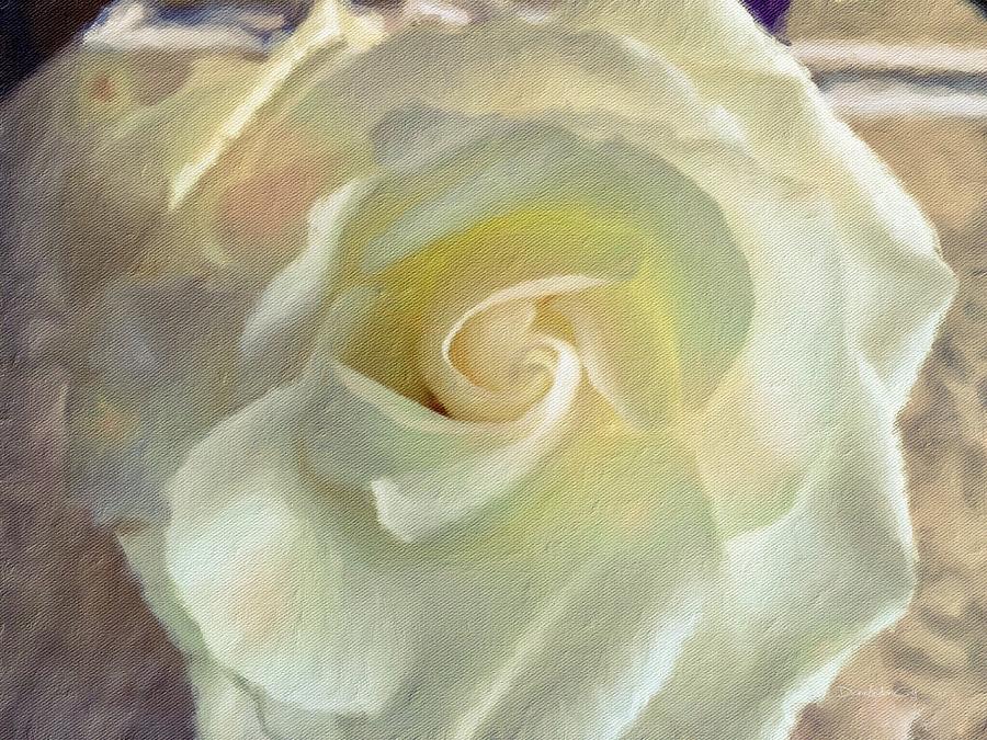 Delicate Soft White Rose Photograph by Diane Lindon Coy