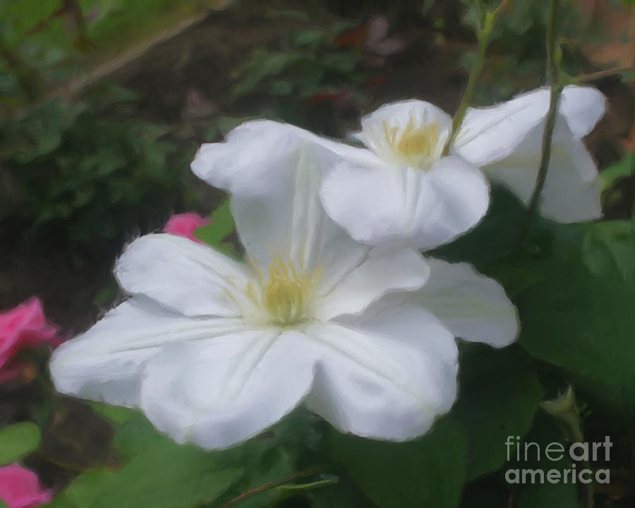 Delicate White Clematis Pair Painting by Smilin Eyes Treasures