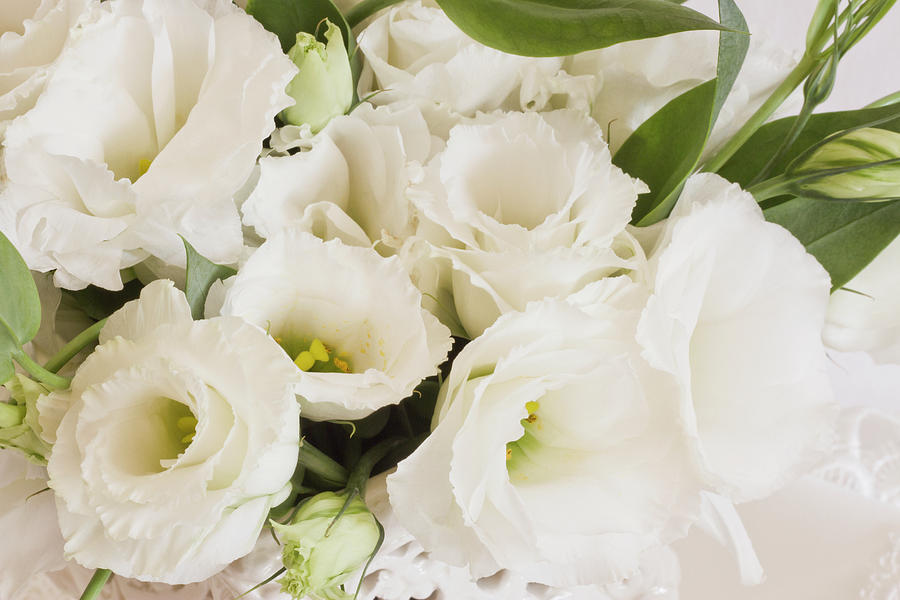 Lisianthus Photograph - Delicate White Lisianthus Flowers by Sandra Foster