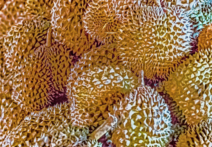 Delicious Durian Photograph by Jelieta Walinski