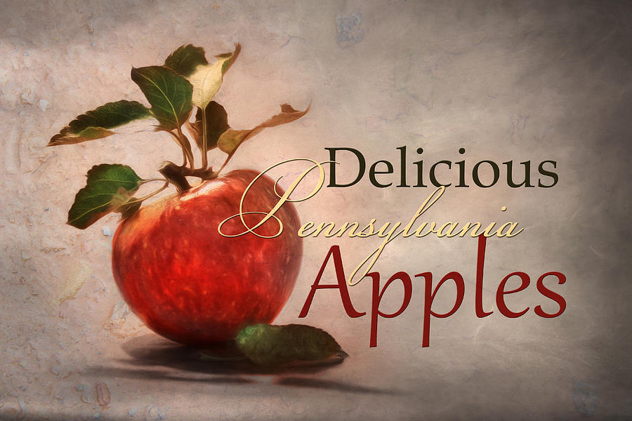 Delicious PA Apples Photograph by Lori Deiter