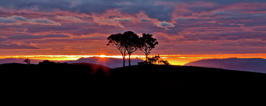 Sunset Photograph - Delightful Awakenings by Az Jackson
