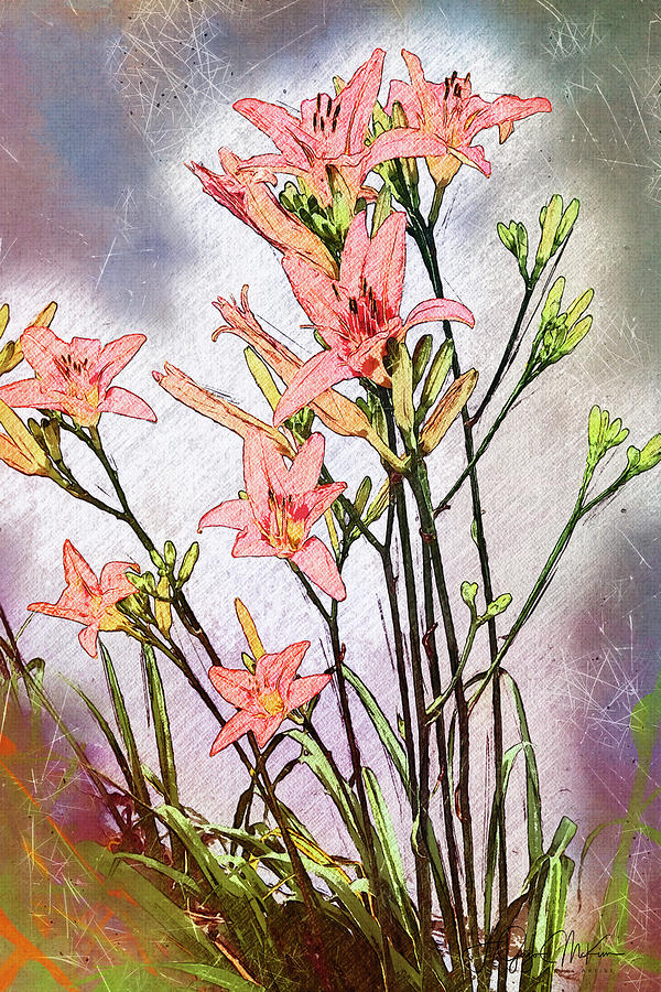 Delightful Daylilies Digital Art by Jo-Anne Gazo-McKim