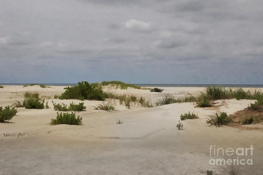 Delightful Dunes Photograph by Roberta Byram