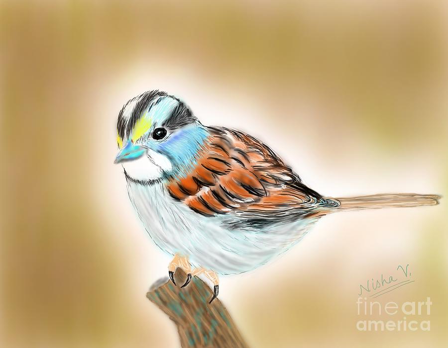 Delightful Sparrow Digital Art by Nishma Creations