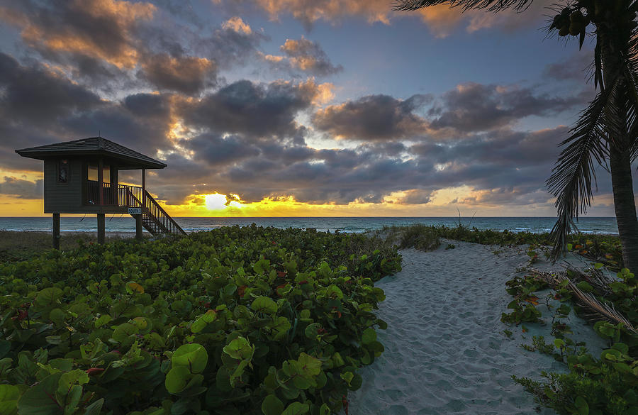 Delray Beach Lifeguard Tower Photograph by Juergen Roth