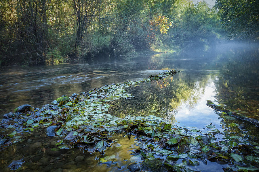 Delta Creek Photograph by Belinda Greb