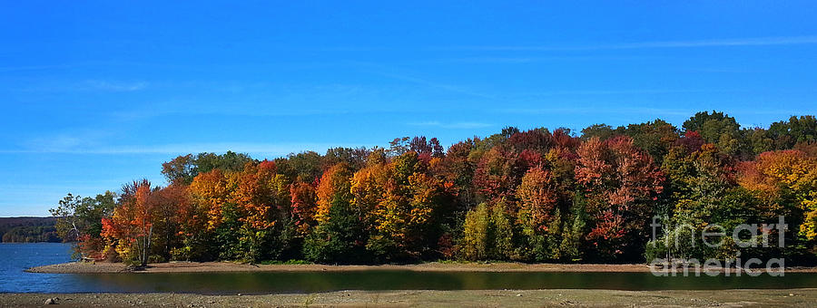 Delta Lake State Park Foliage Photograph by Diane E Berry