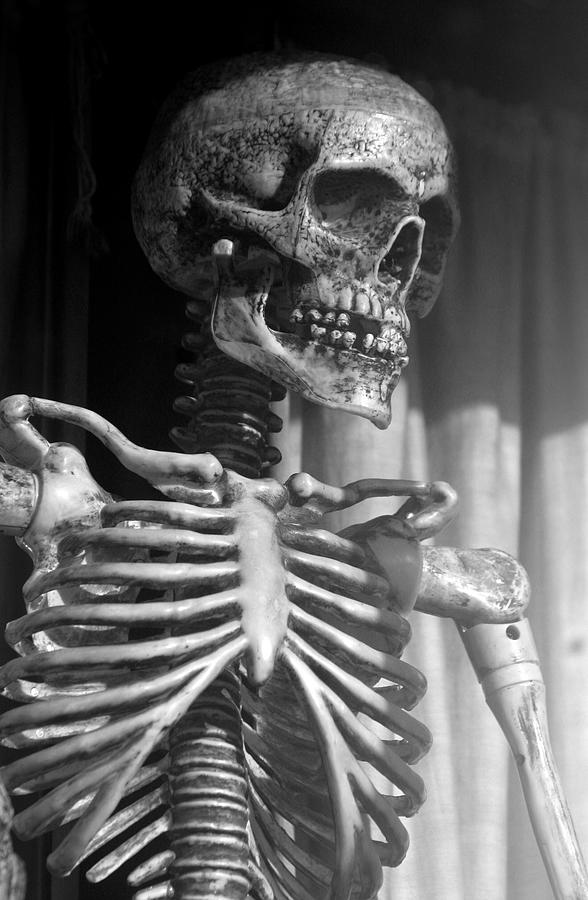 Dem Bones Dem Bones Photograph by Jez C Self