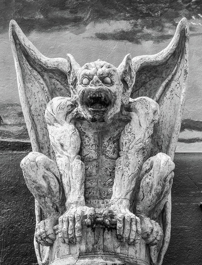 Demon Gargoyle Photograph by David A Litman