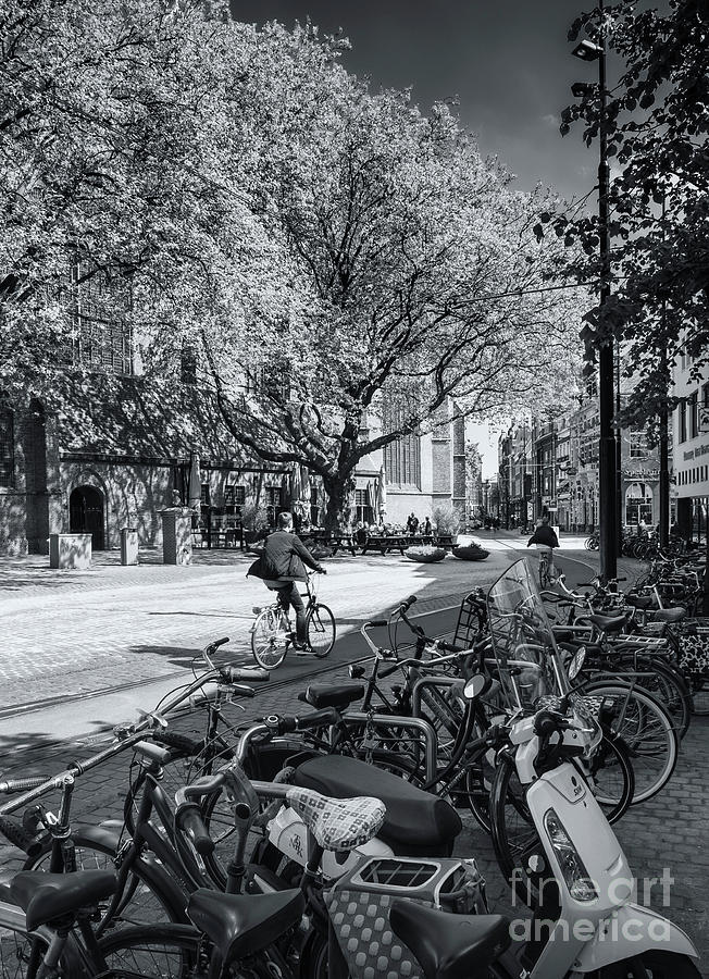 Den Haag Cityscape 1 Photograph by Philip Preston