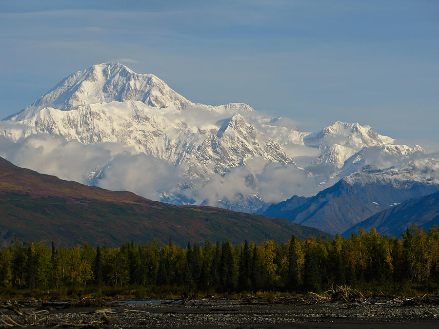 Denali Alaska Photograph by Sam Amato